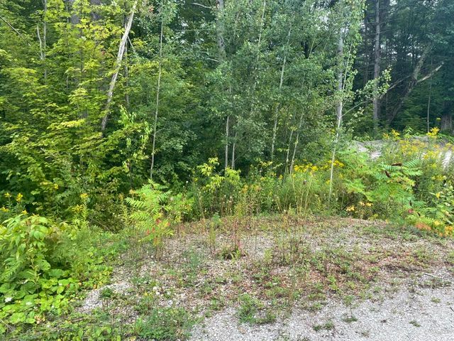 7859 Pineridge Road Property Photo 3