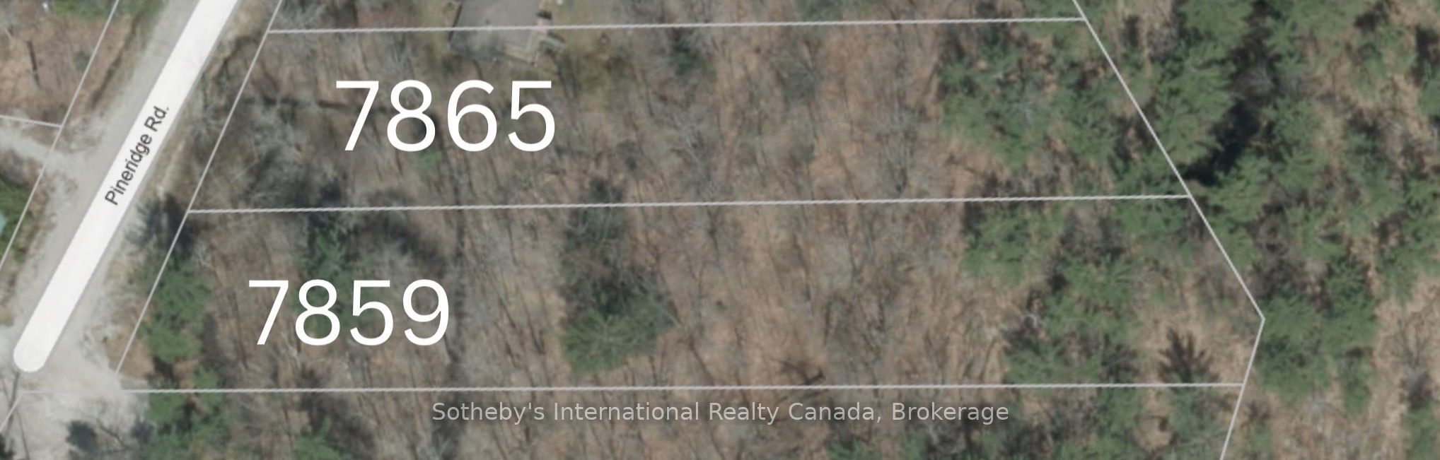 7859 Pineridge Road Property Photo 5