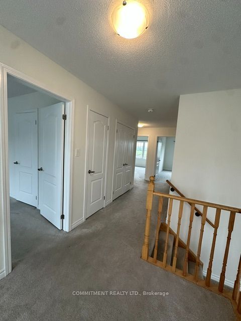 14 Shapira Avenue Property Photo 25