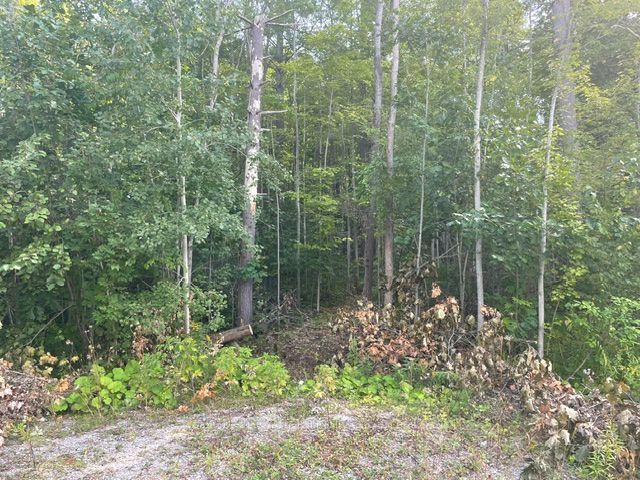 7865 Pineridge Road Property Photo 2