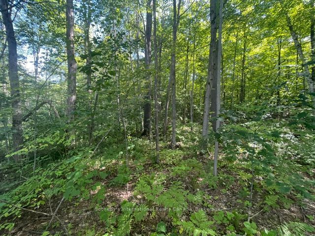 7865 Pineridge Road Property Photo 3