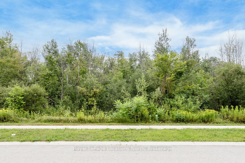 Part Lot 25 (part 2) Robinson Road Property Photo 3