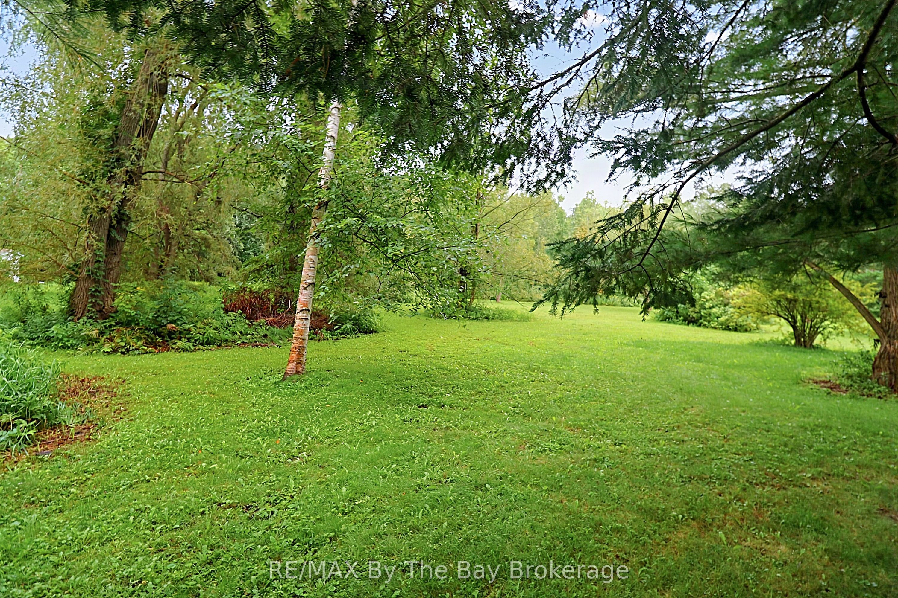 49 Royal Beech Drive Property Photo 30