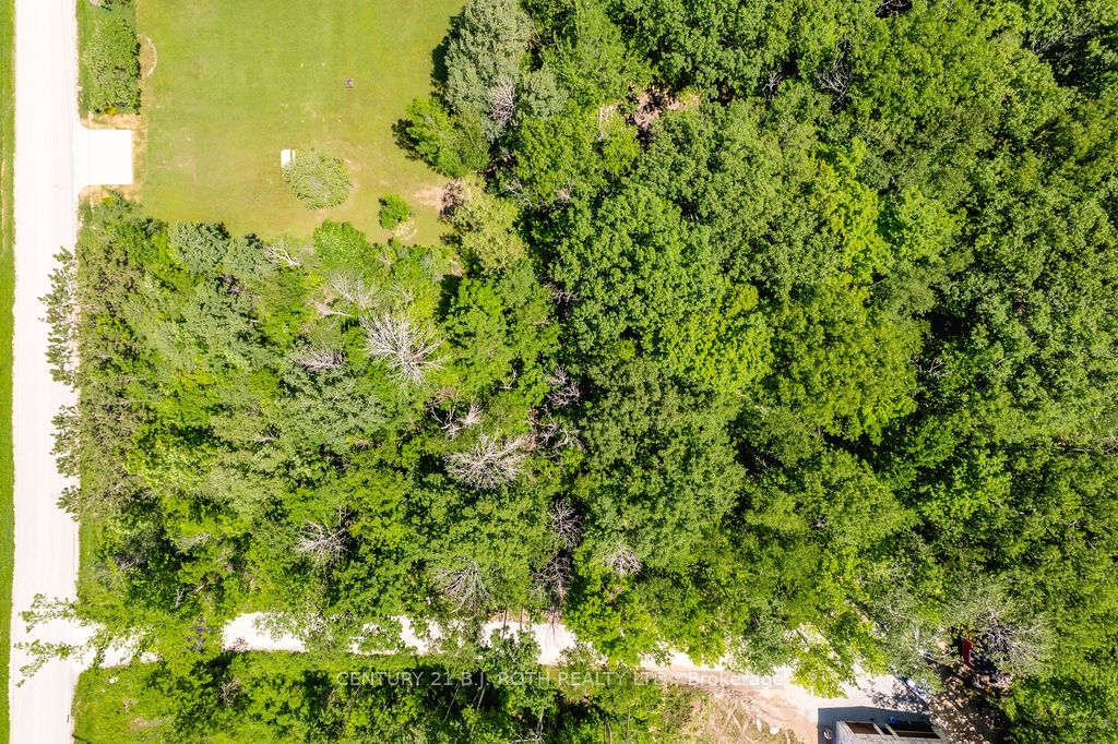 37 Todd Lane Property Photo 5