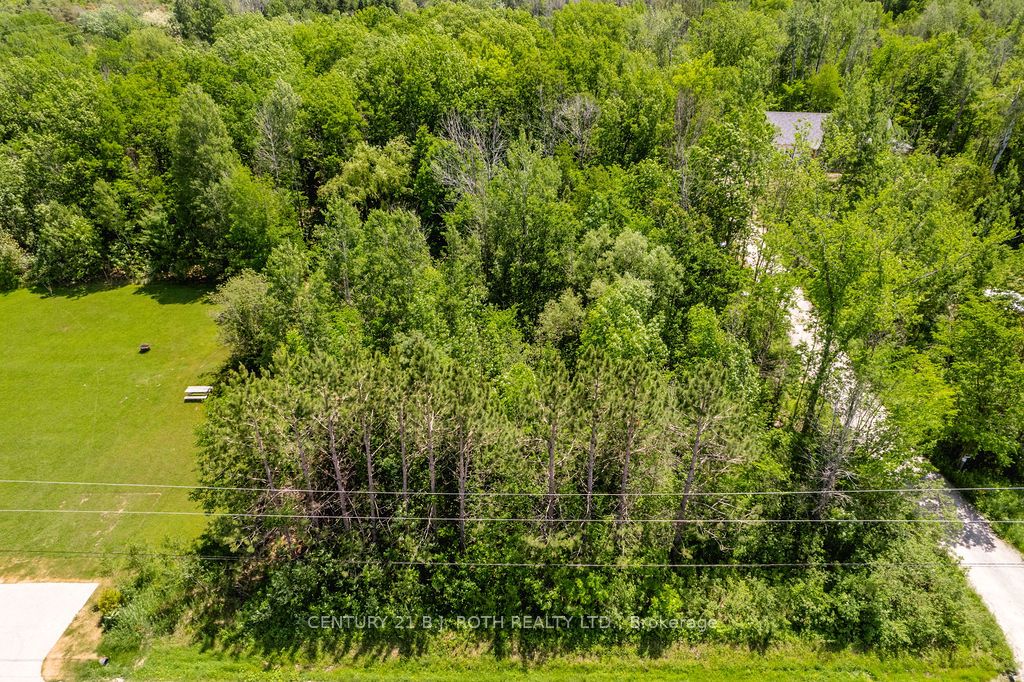37 Todd Lane Property Photo 12