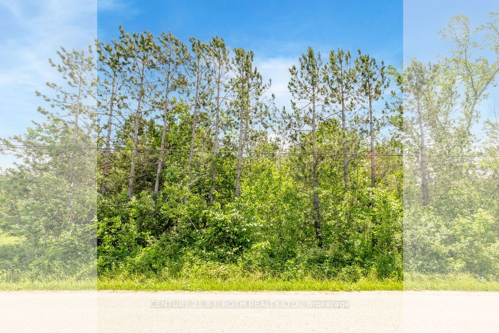 37 Todd Lane Property Photo 16