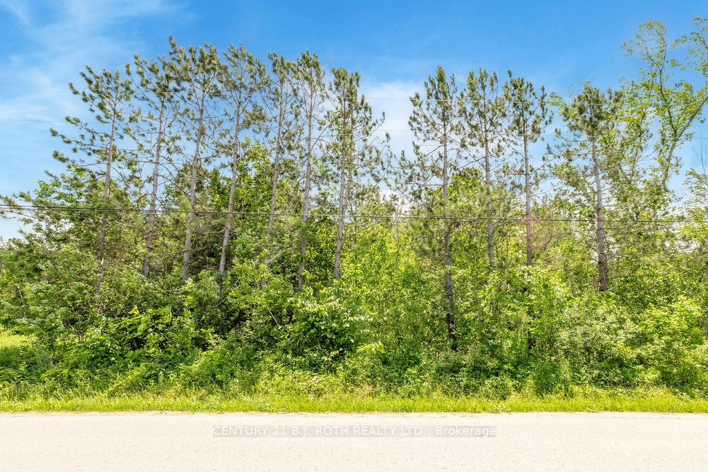 37 Todd Lane Property Photo 17