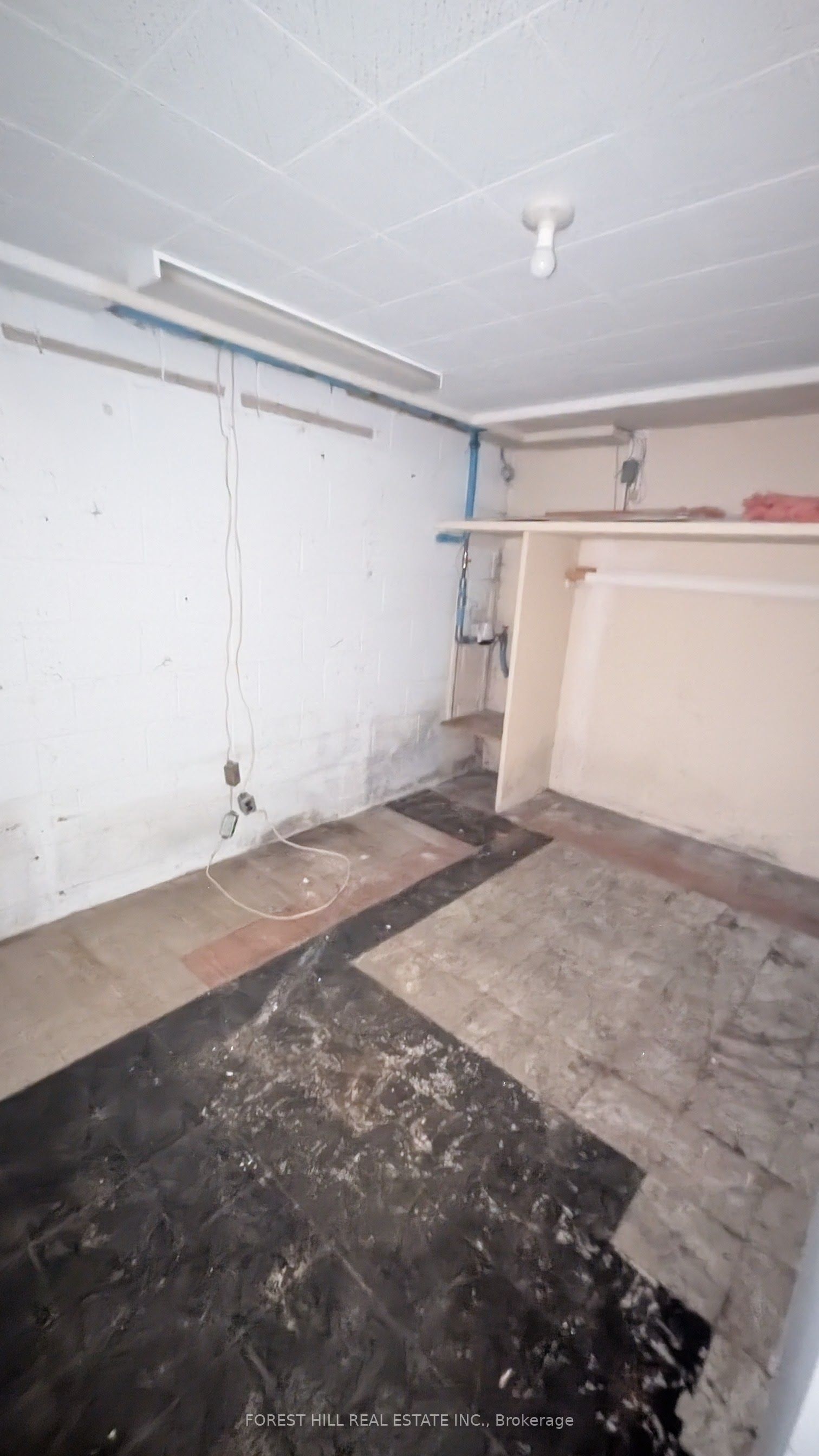 144 Miller Drive Property Photo 41