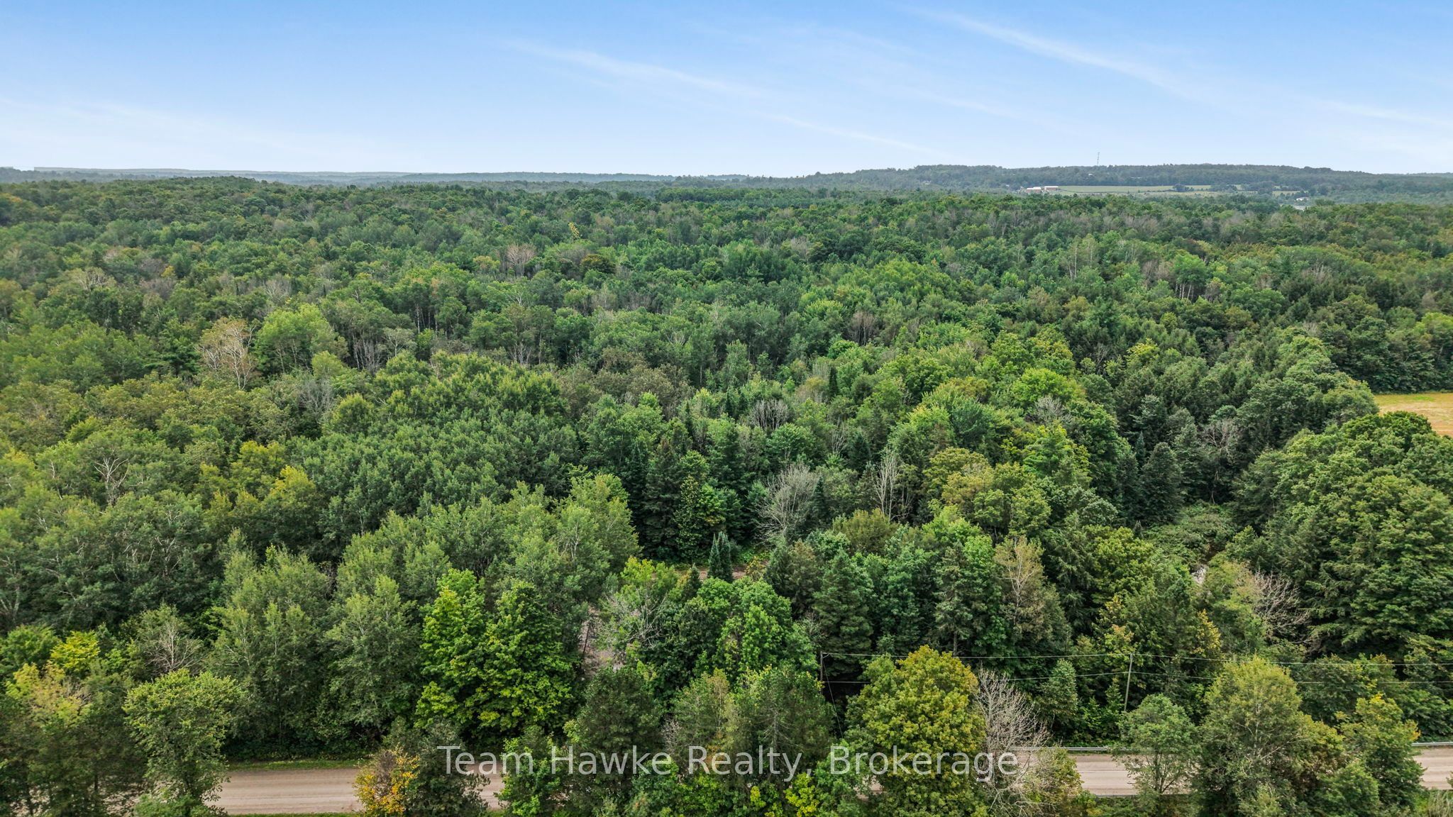 5493 Mcmann Side Road Property Photo 4