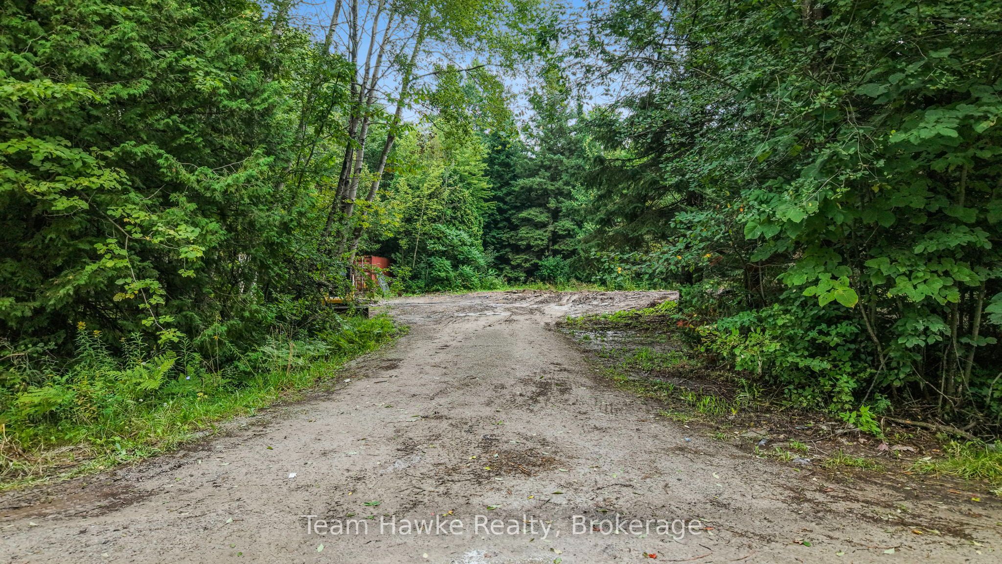5493 Mcmann Side Road Property Photo 5