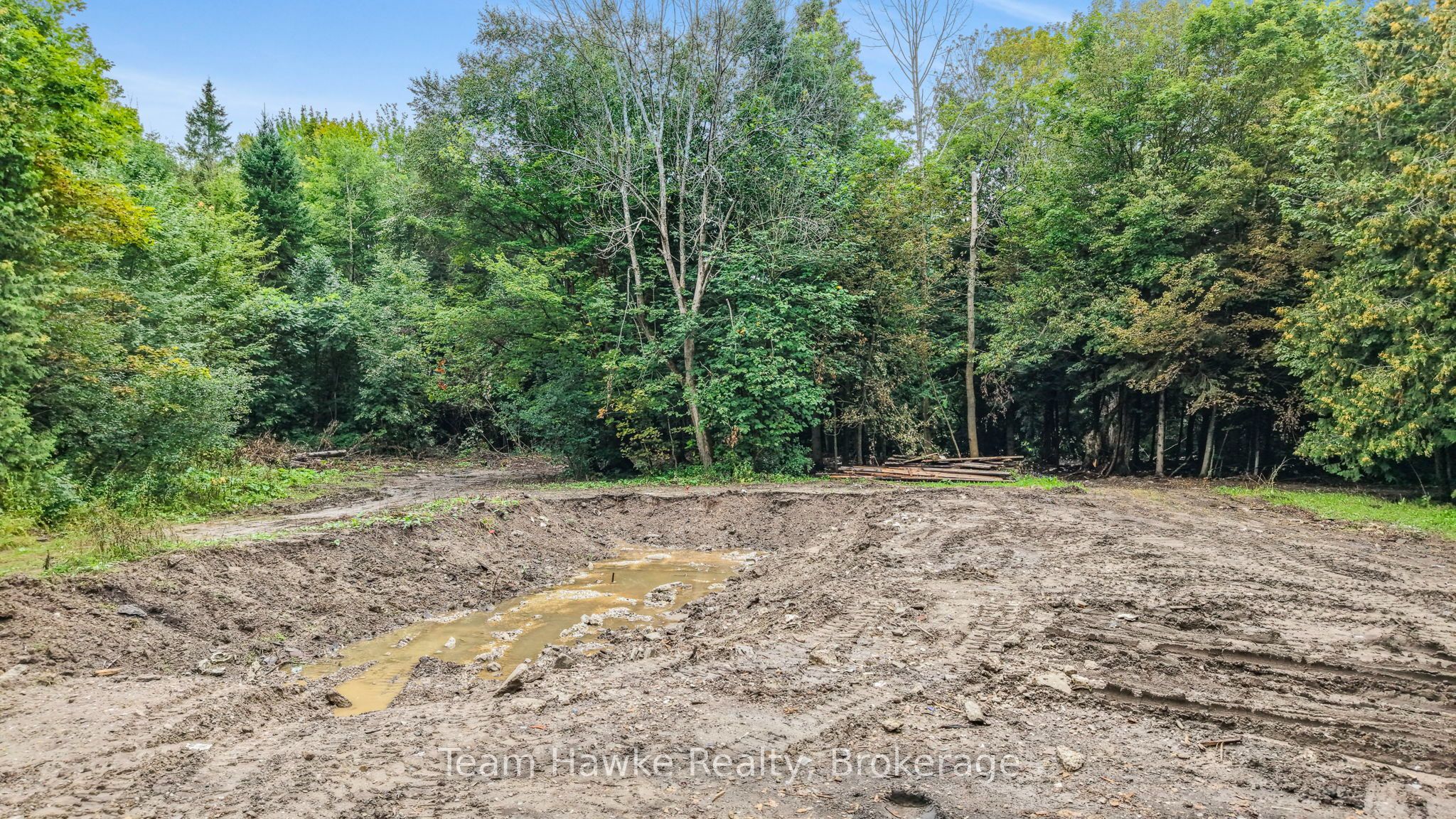 5493 Mcmann Side Road Property Photo 7