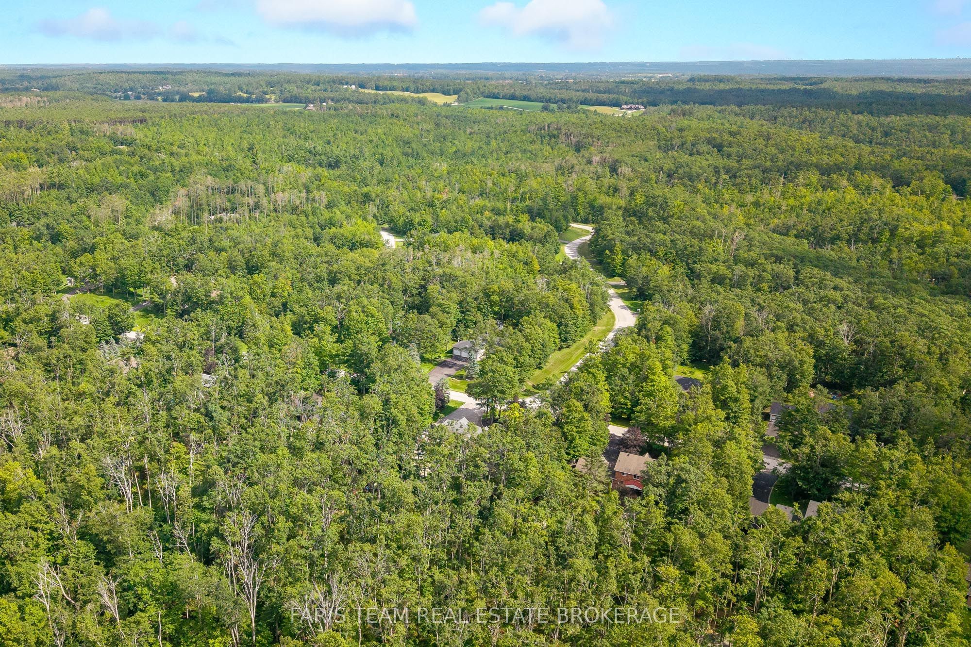 10 Green Mountain Court Property Photo 41