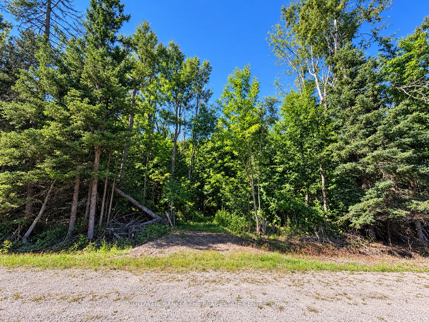 4896 Penetanguishene Road Property Photo 1