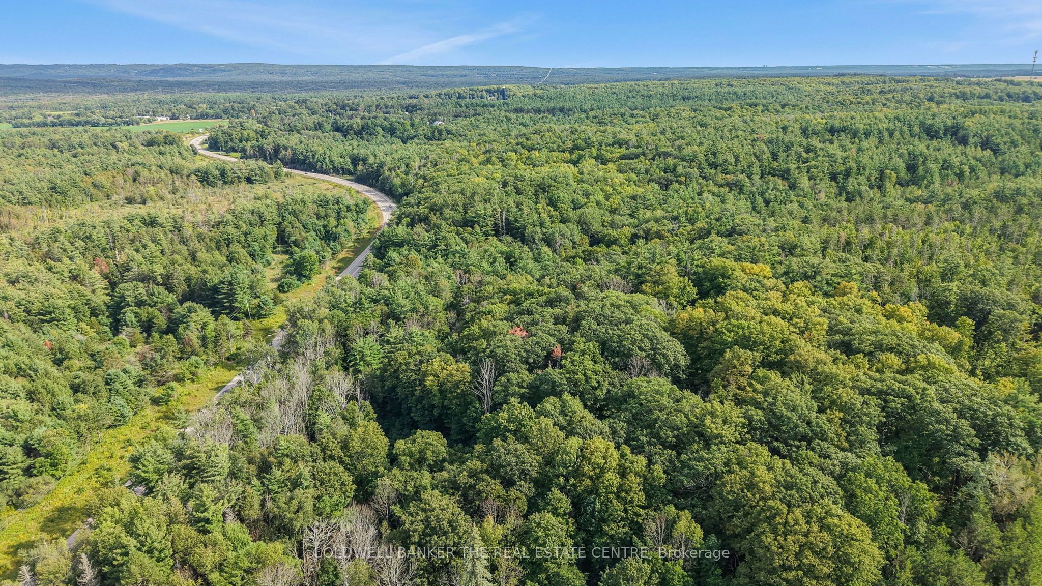 4896 Penetanguishene Road Property Photo 5