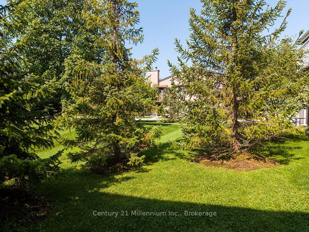 19 Dawson Drive 68 Property Photo 13