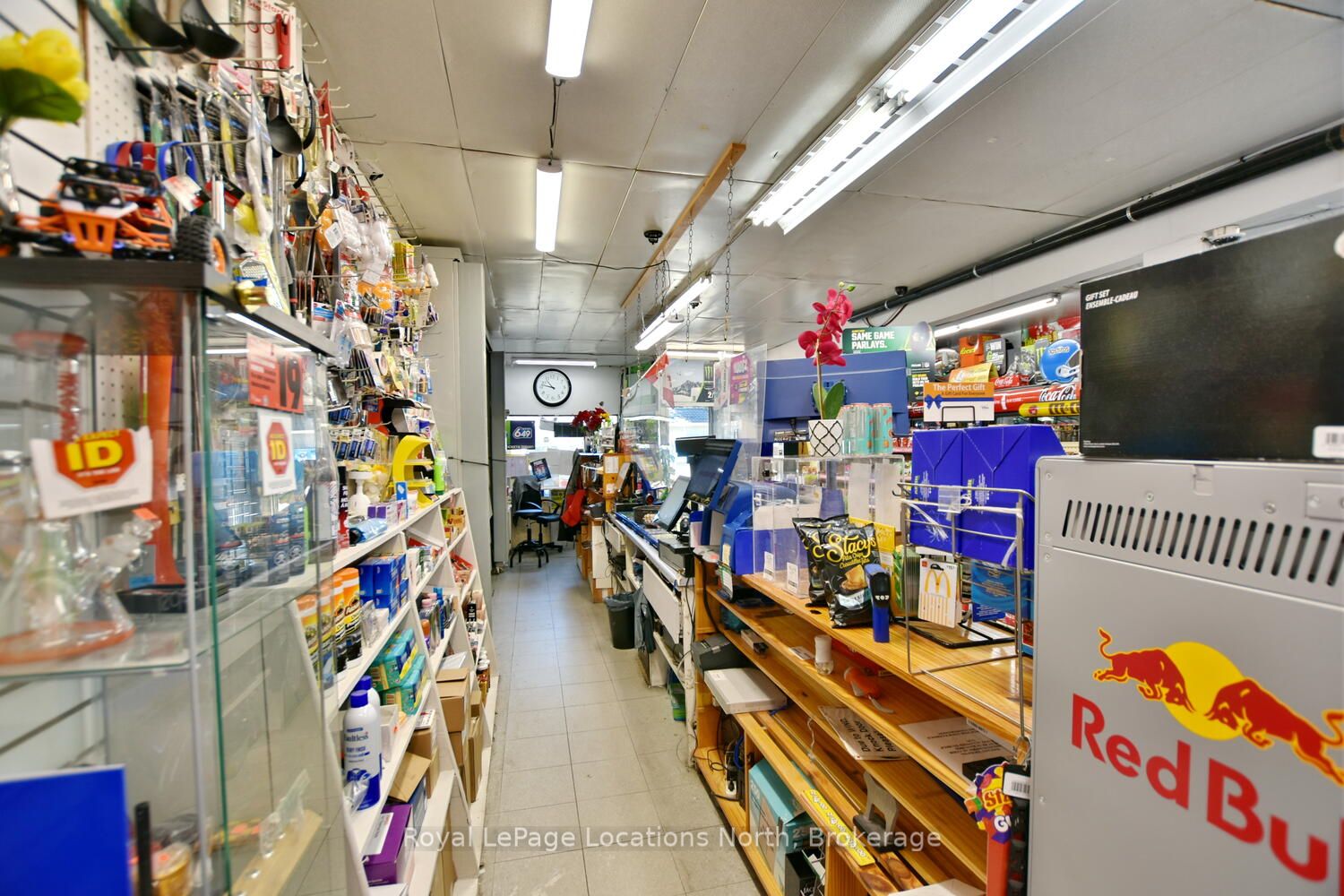 256 Ontario Street Property Photo 38
