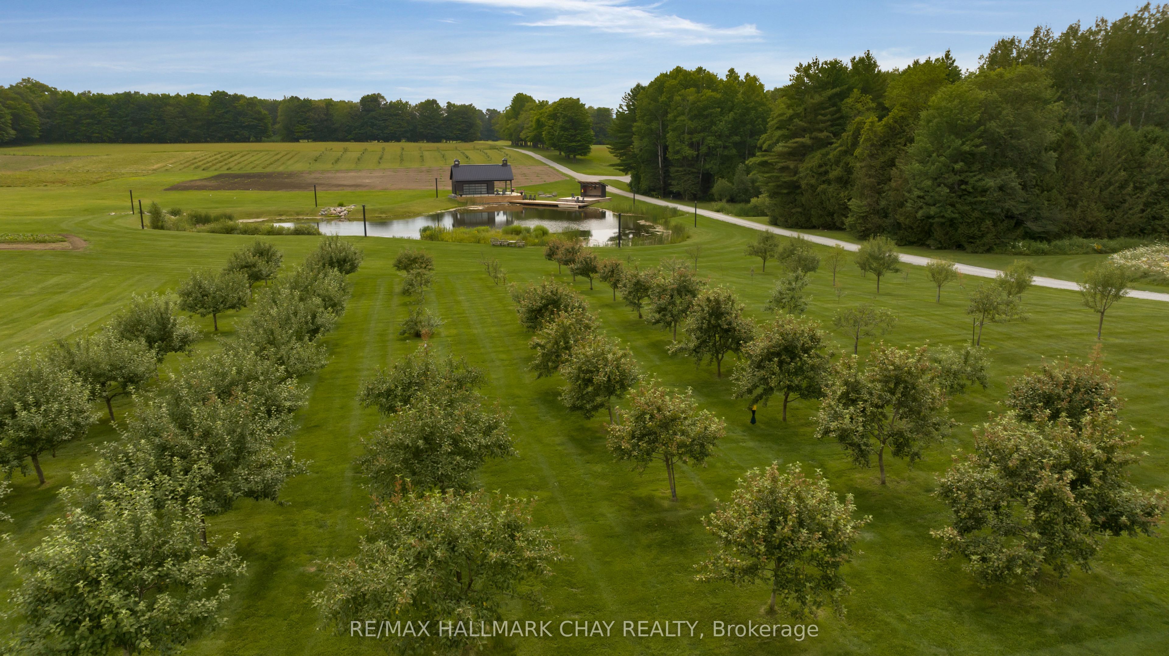 7 Clydesdale Court Property Photo 43