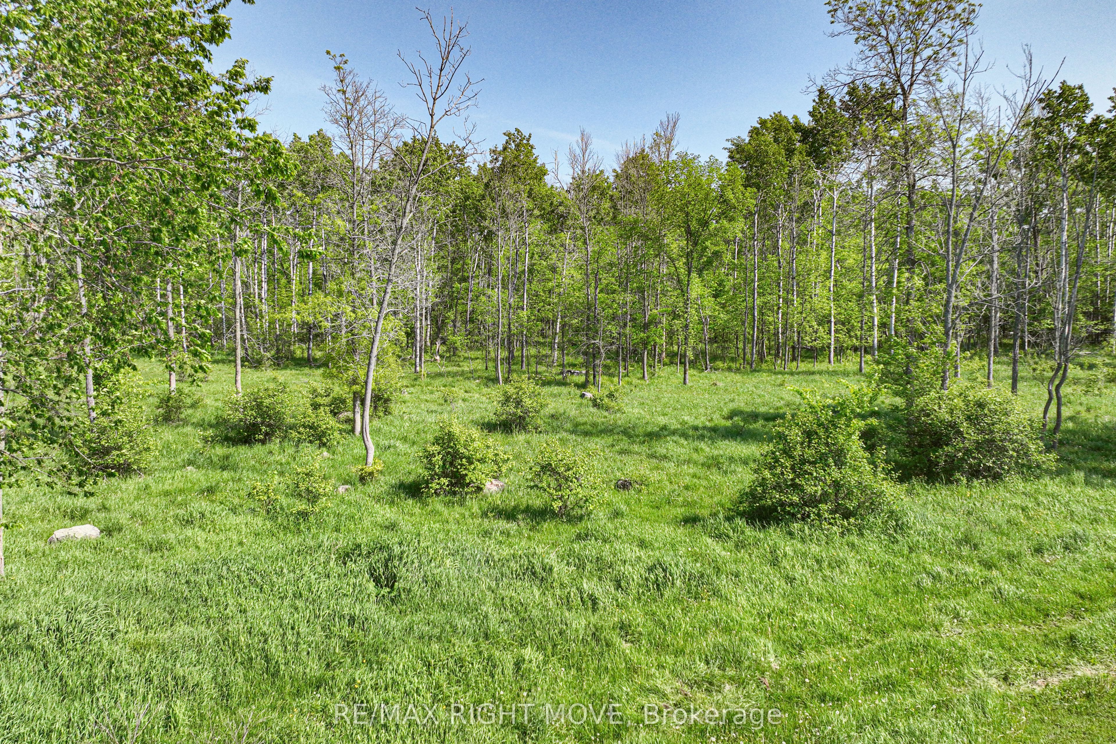 1579 Wainman Line Property Photo 5