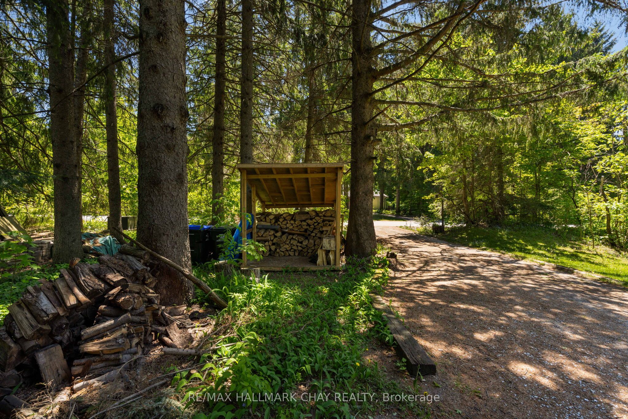 47 Cathedral Pines Road Property Photo 29