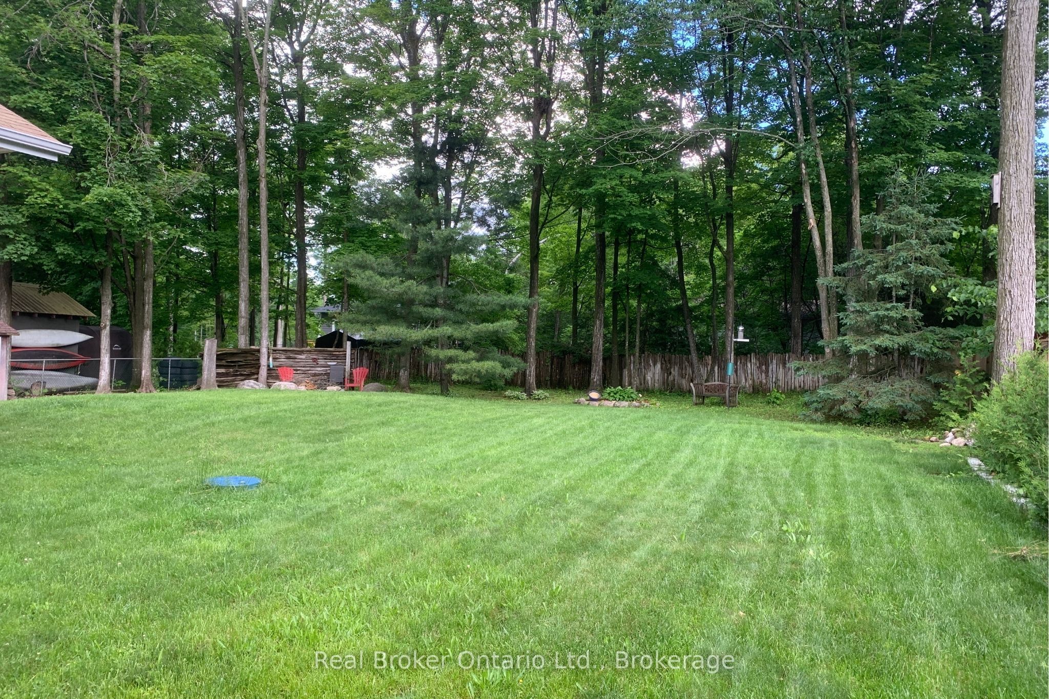 16 Mundy Avenue Property Photo 29