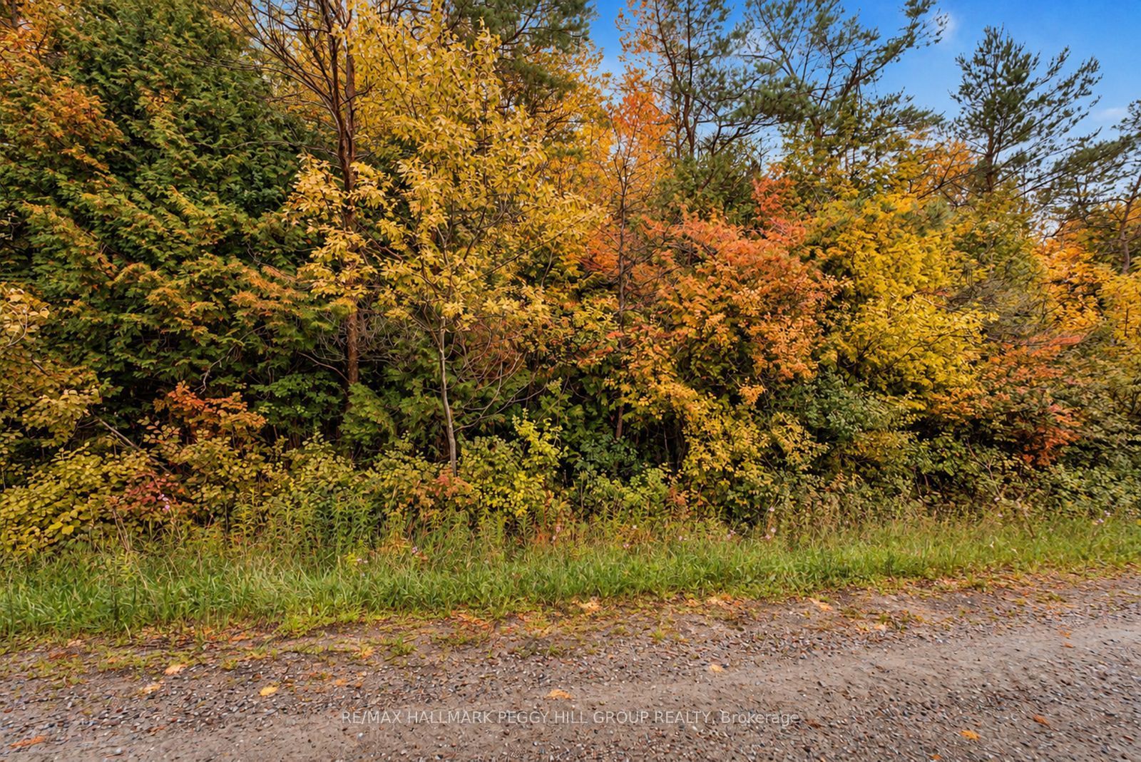 1659 County Road 92 Property Photo 4