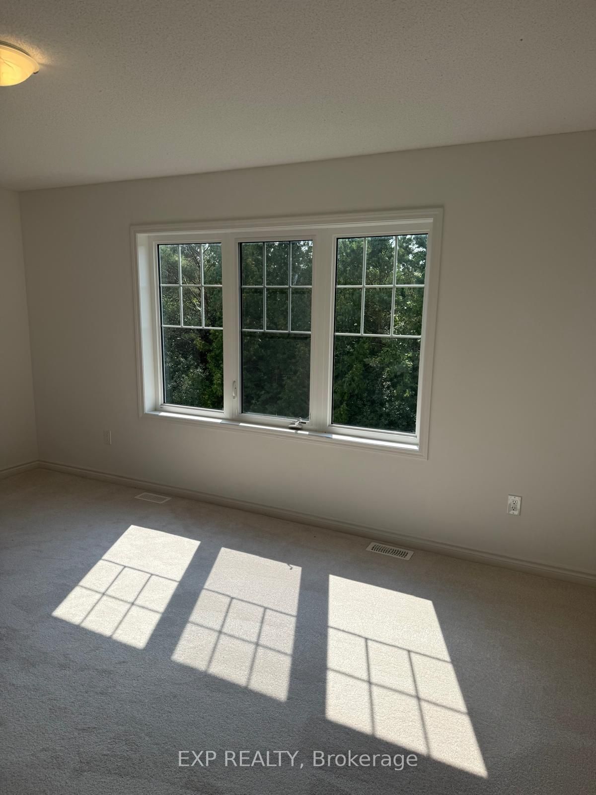 3 Abby Drive Property Photo 8