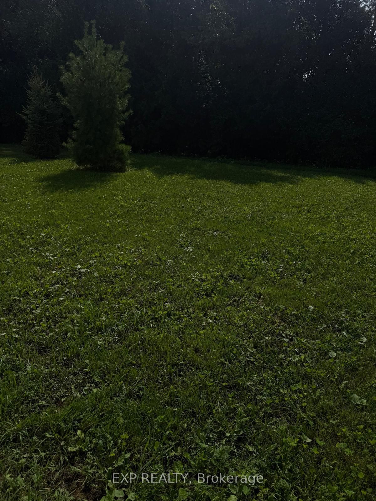 3 Abby Drive Property Photo 10