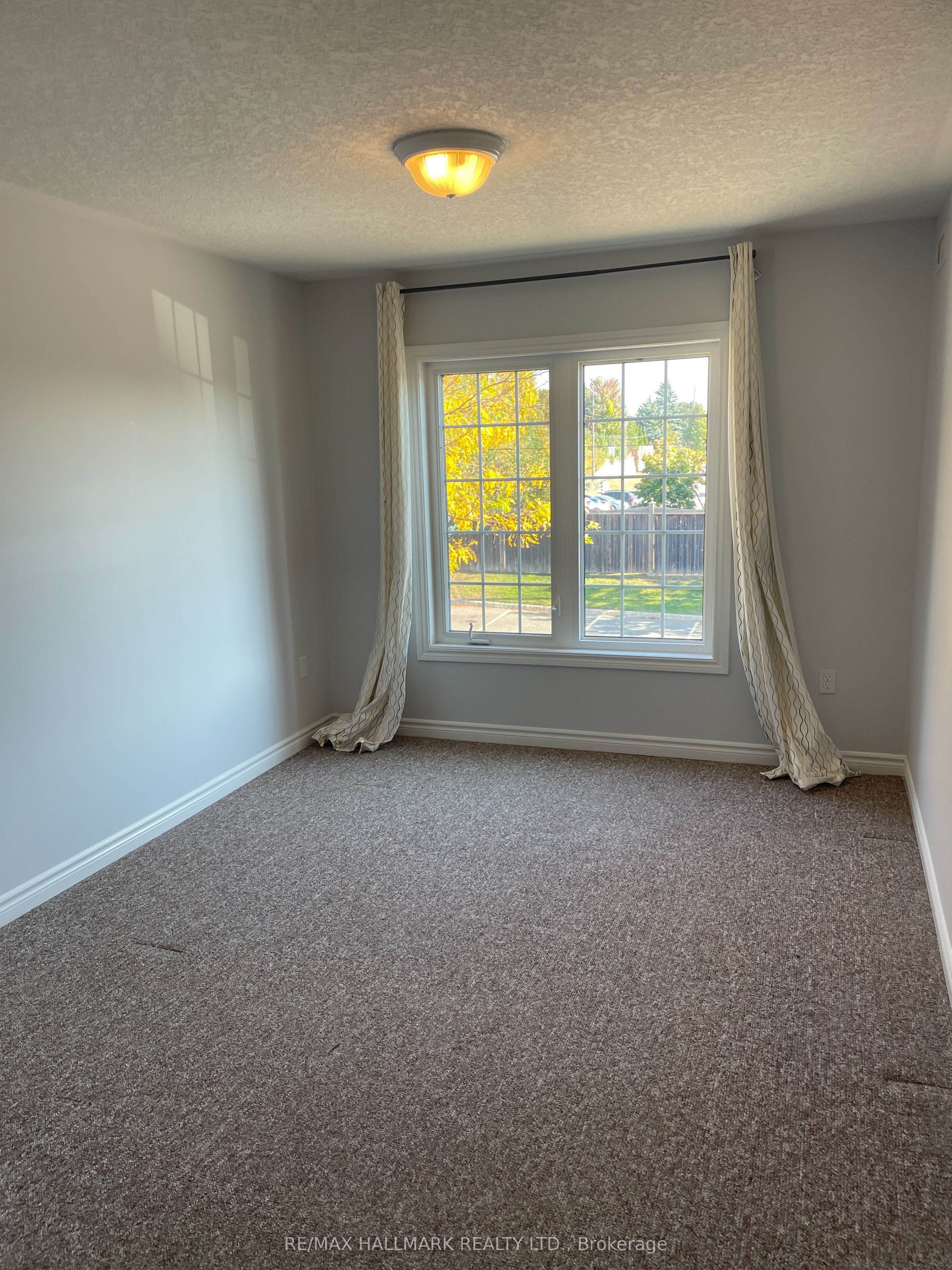 41 Coulter Street 15 Property Photo 12