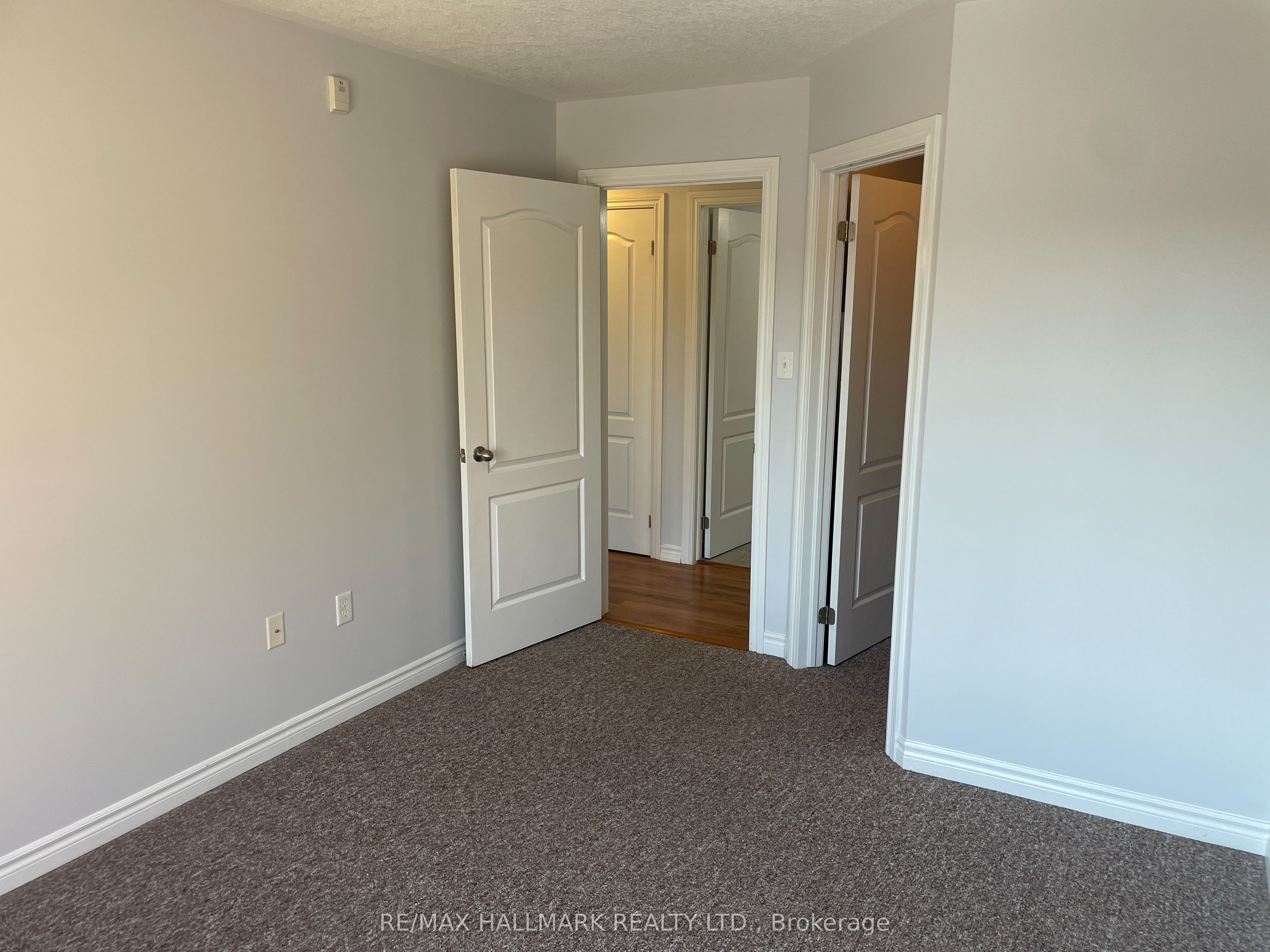 41 Coulter Street 15 Property Photo 14