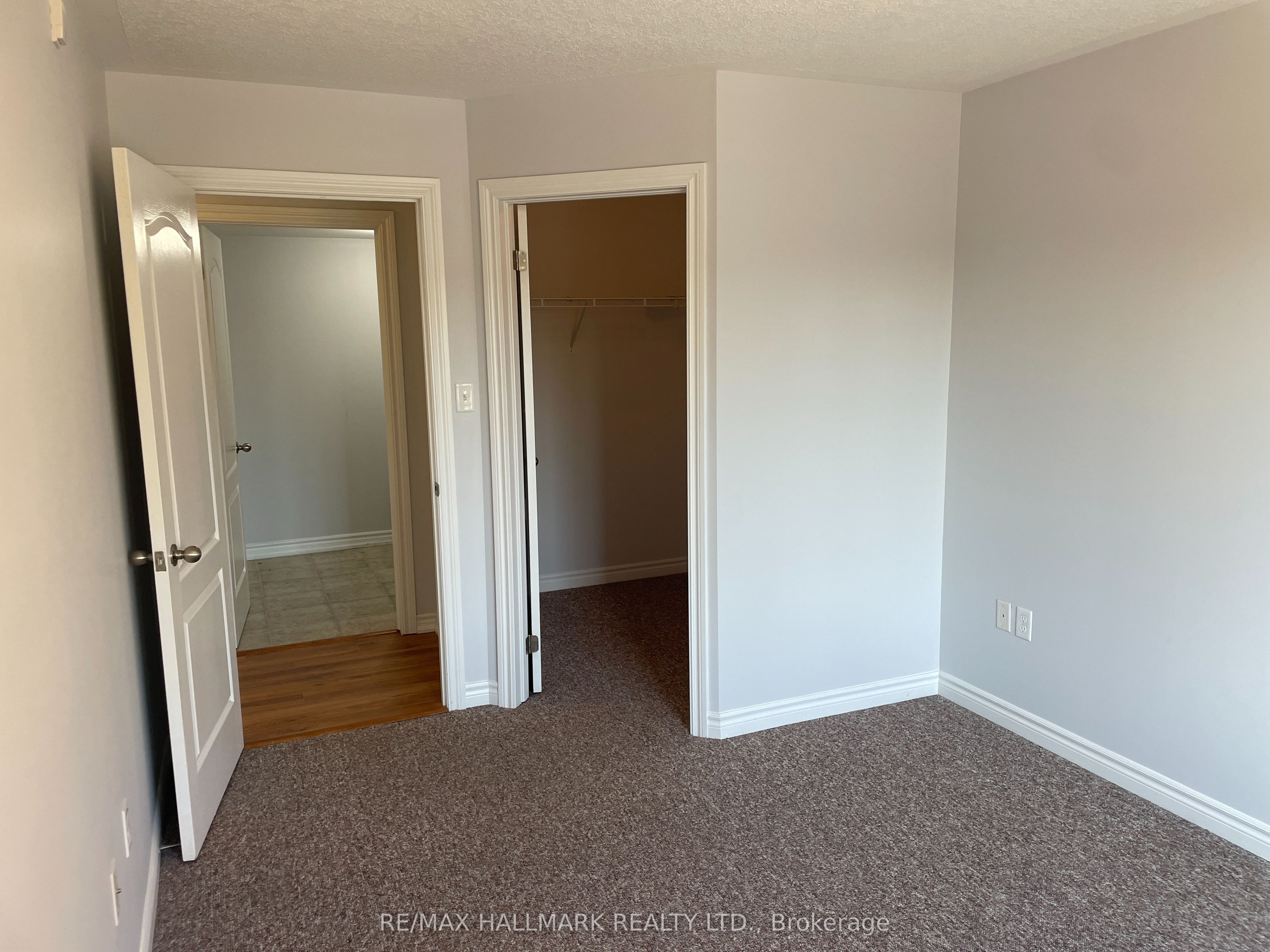 41 Coulter Street 15 Property Photo 15