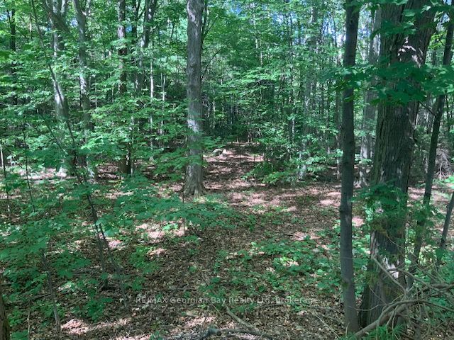 9513 N County Rd 93 Road Ne Property Photo 20