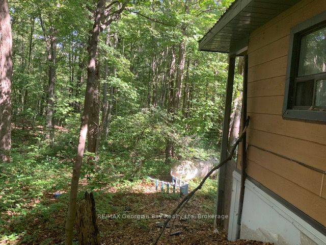 9513 N County Rd 93 Road Ne Property Photo 22