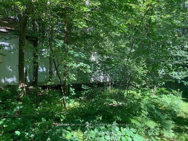 9513 N County Rd 93 Road Ne Property Photo 26