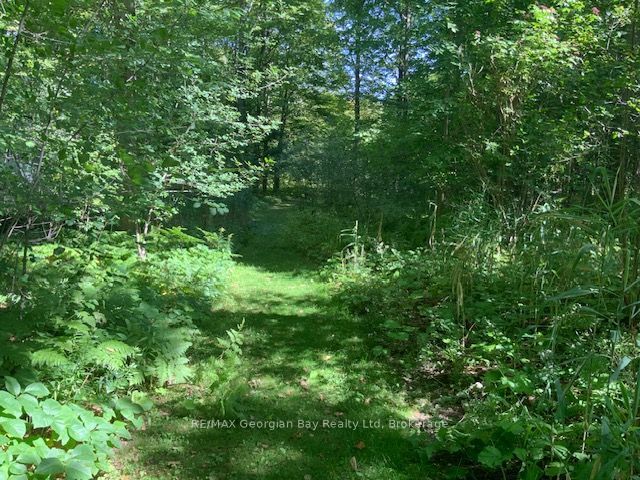 9513 N County Rd 93 Road Ne Property Photo 27