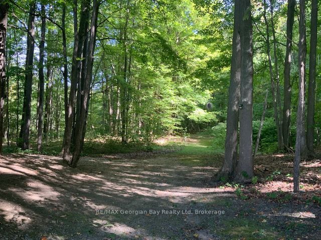 9513 N County Rd 93 Road Ne Property Photo 28