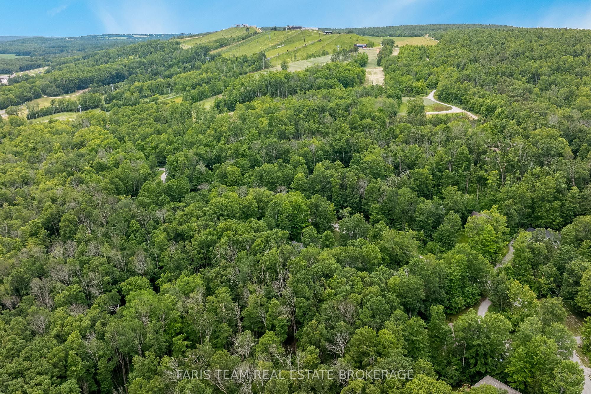 11 Snowshoe Trail Property Photo 50