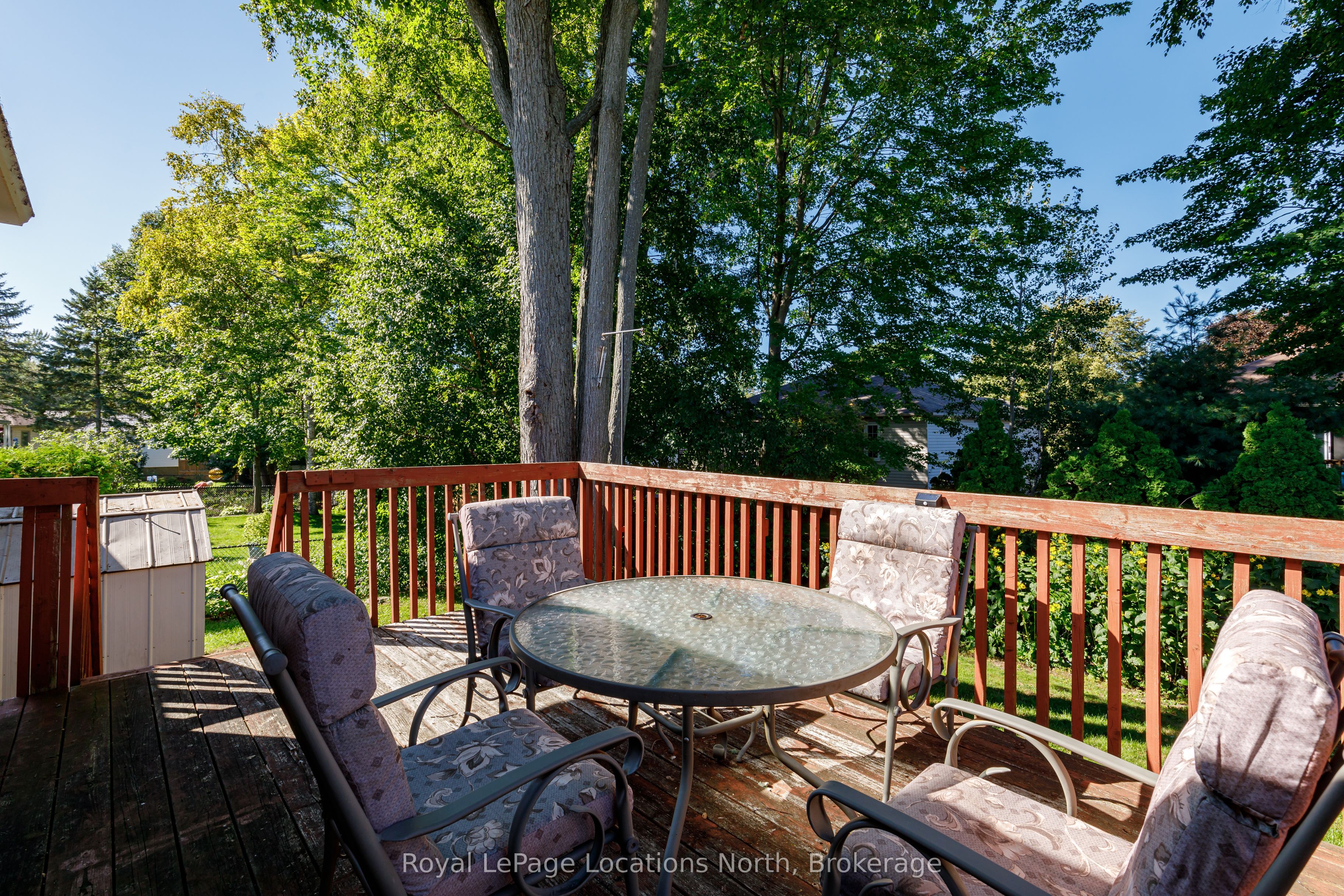 77 Silver Birch Avenue Property Photo 8