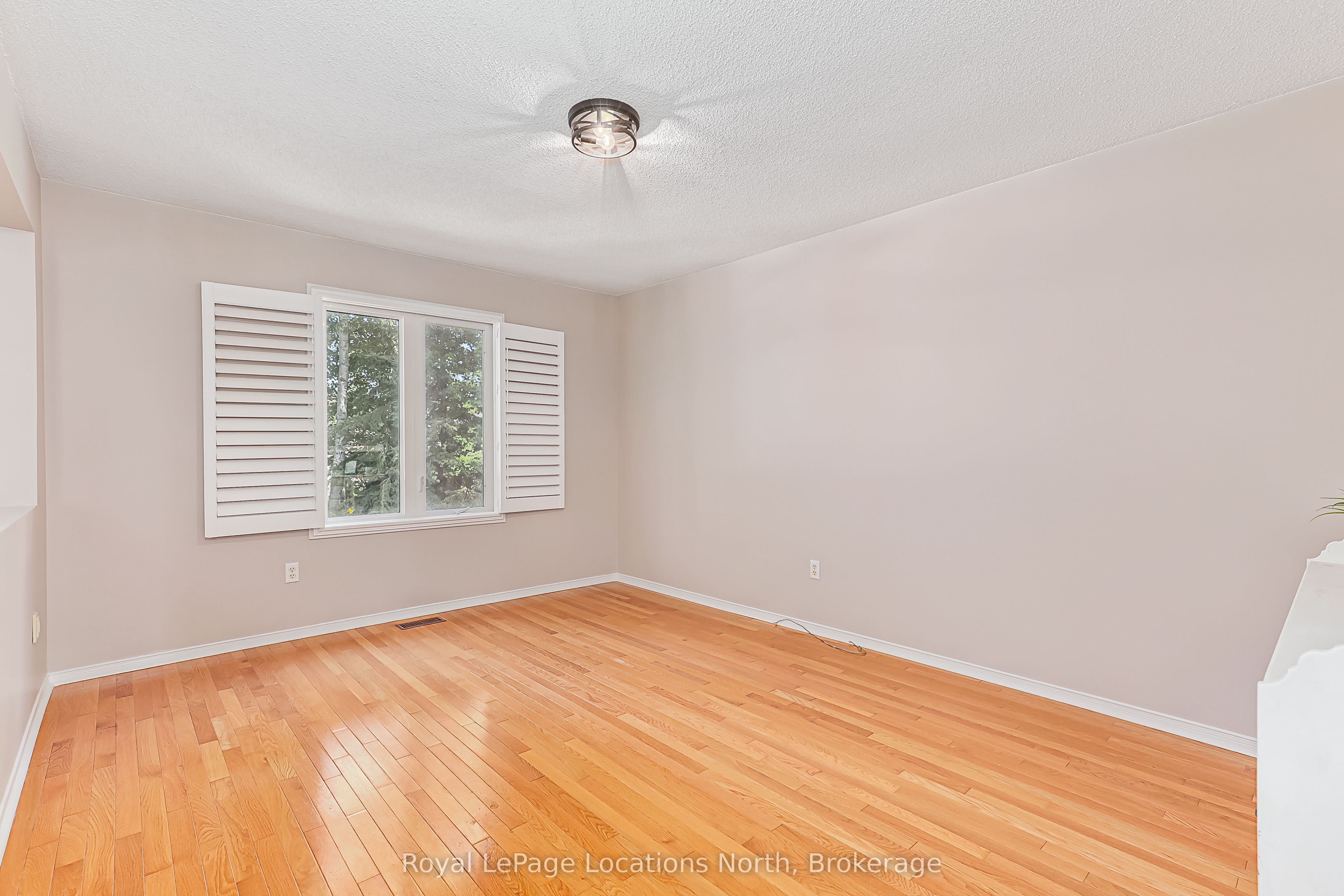 77 Silver Birch Avenue Property Photo 11