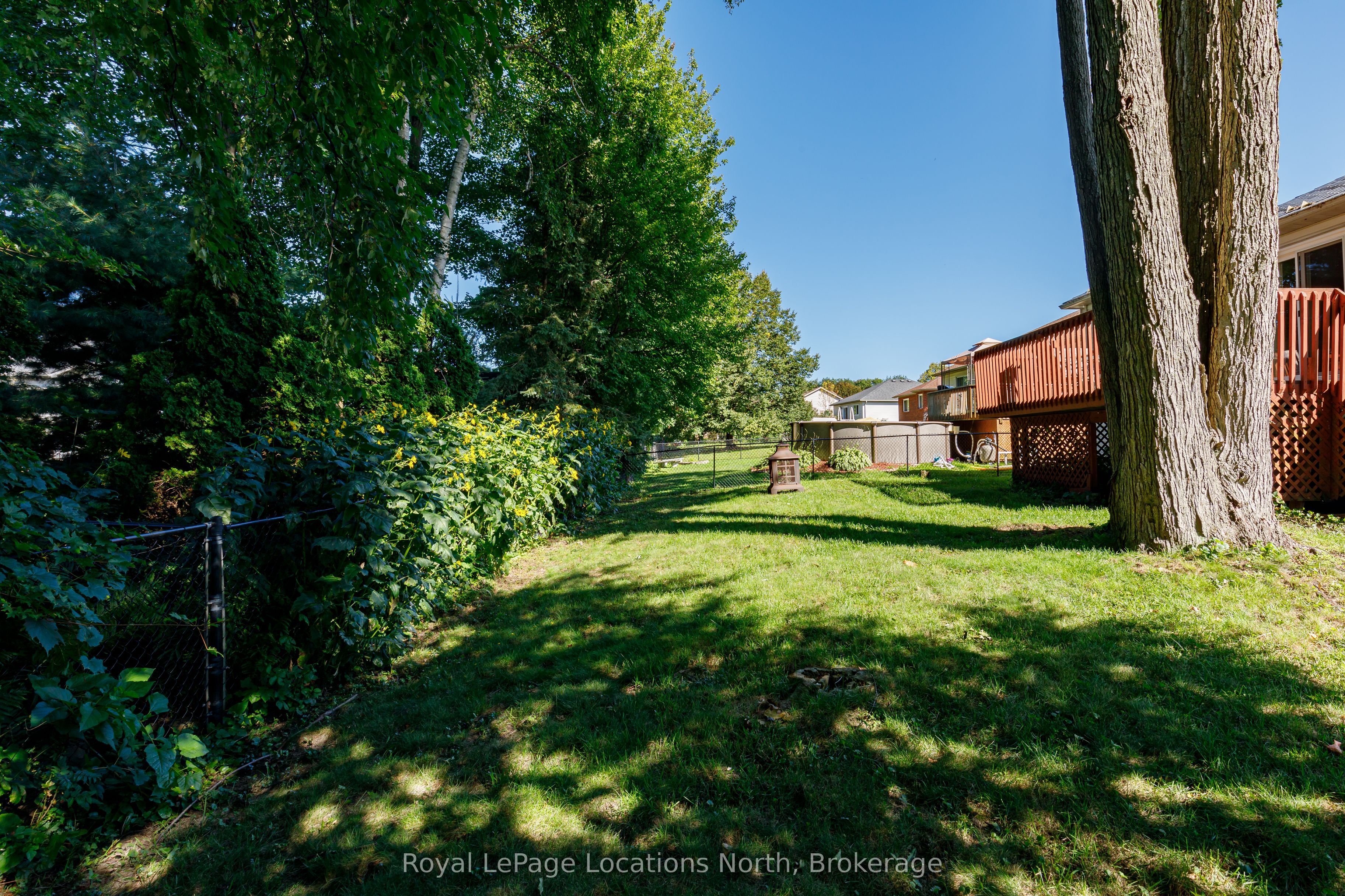 77 Silver Birch Avenue Property Photo 44