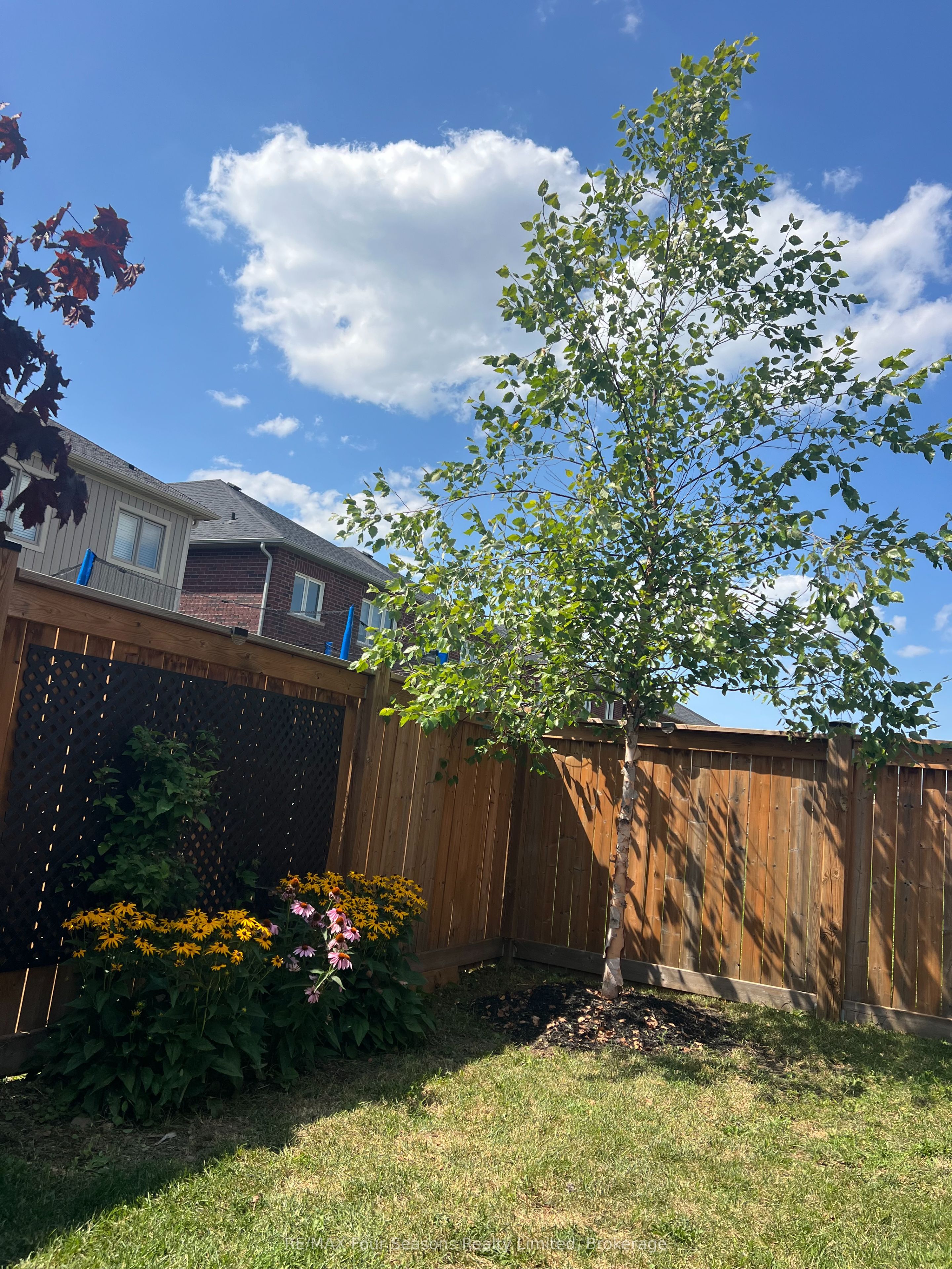 24 Barfoot Street Property Photo 37