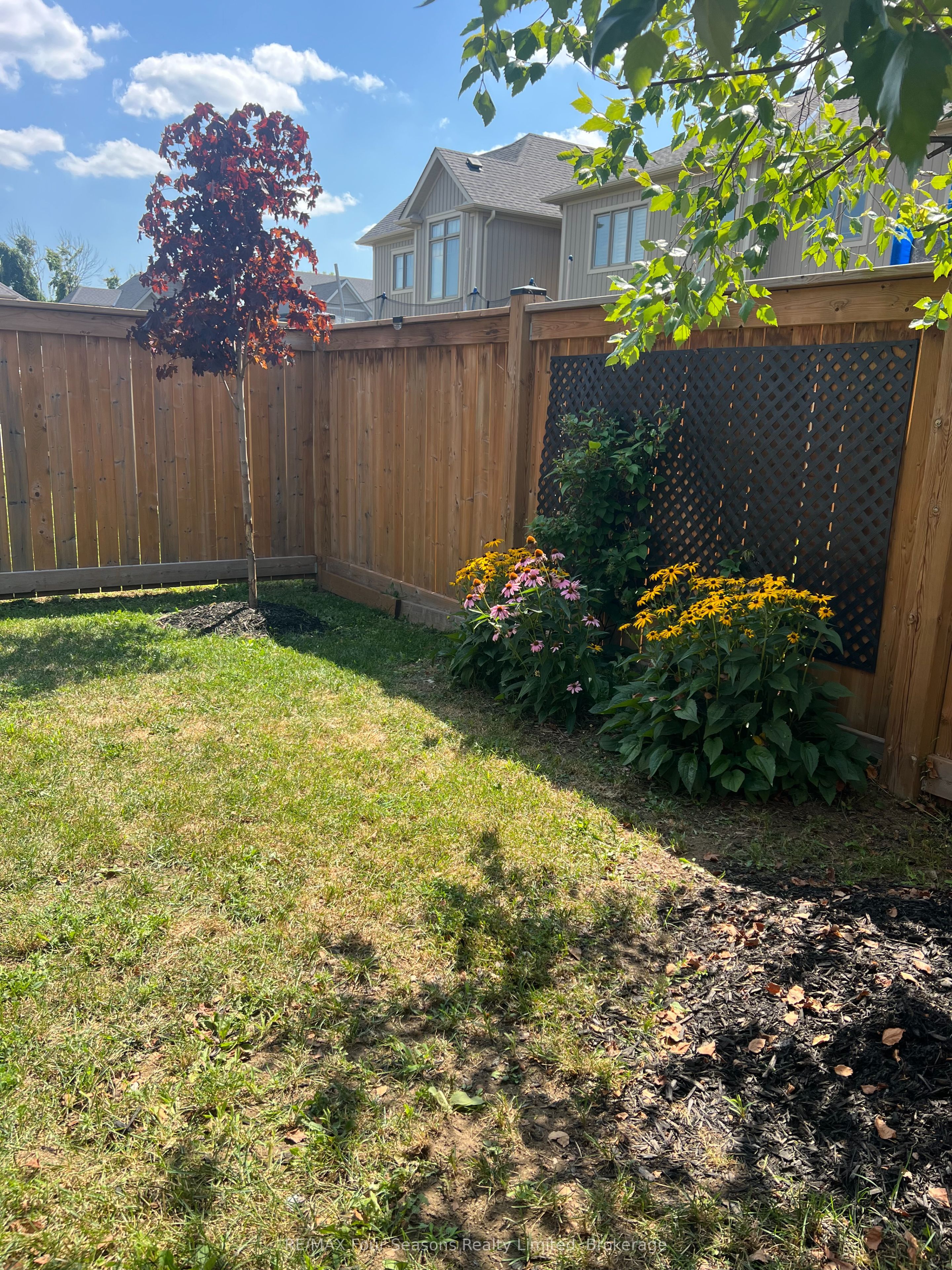 24 Barfoot Street Property Photo 39