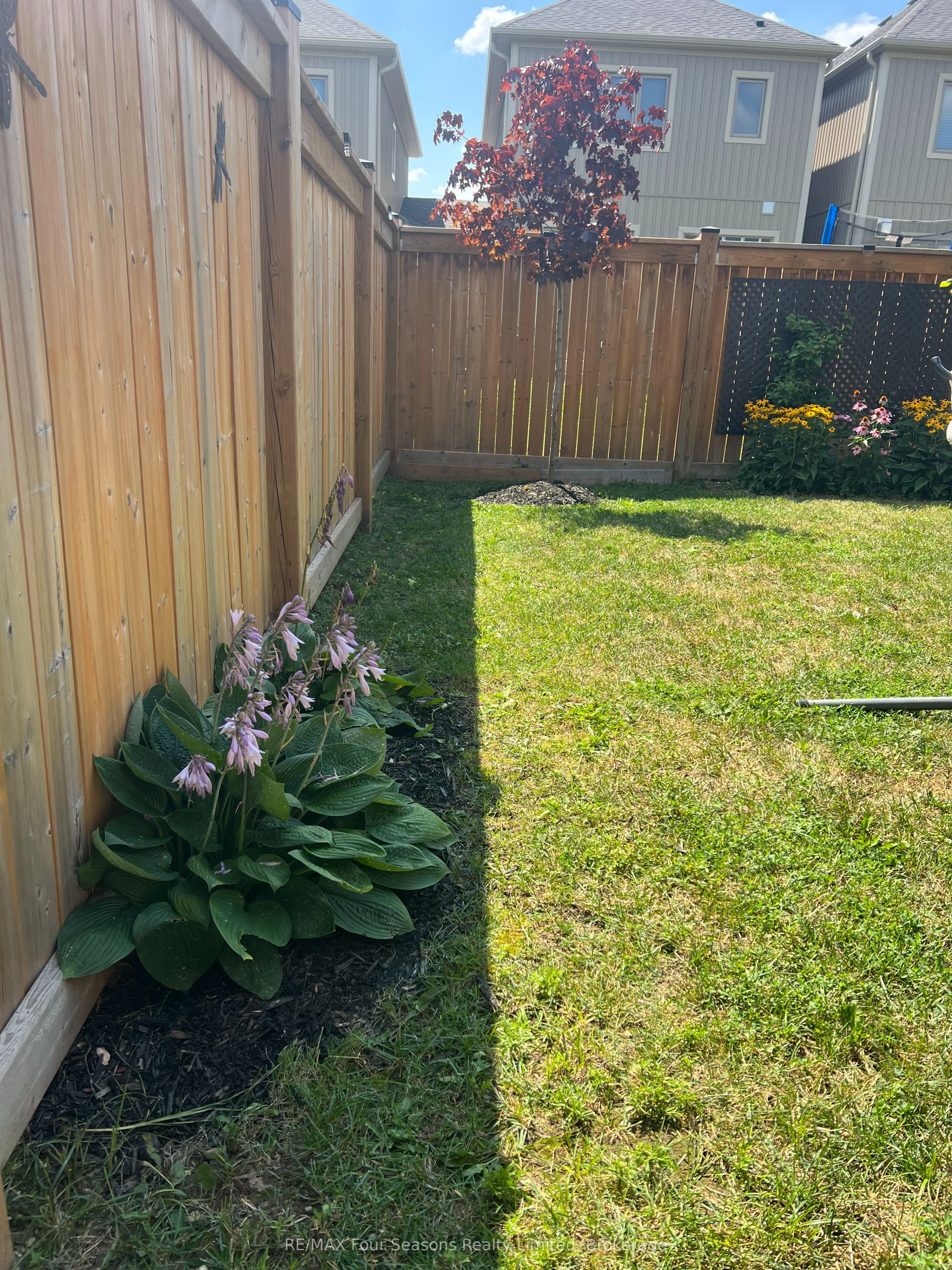 24 Barfoot Street Property Photo 40