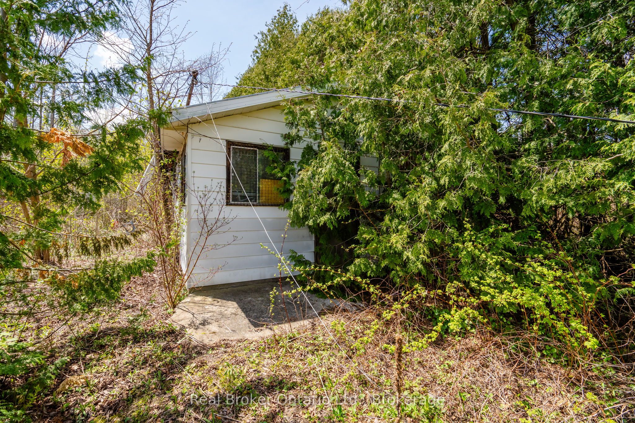 12824 County Road 16 Road Property Photo 6
