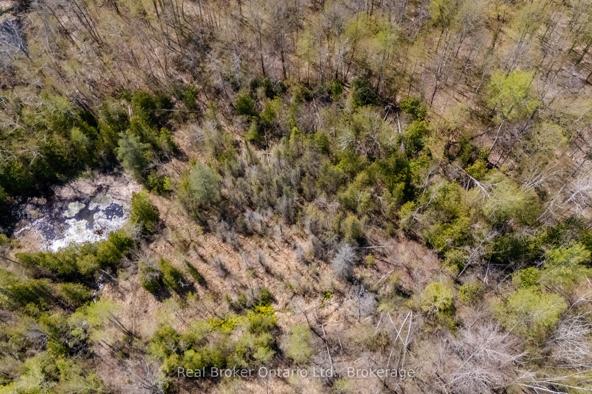 12824 County Road 16 Road Property Photo 9