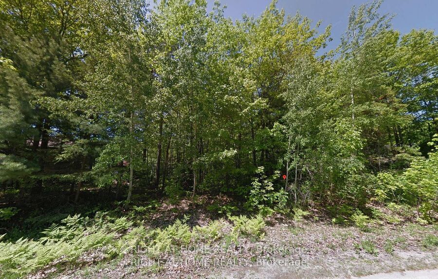 2 Birchwood Trail