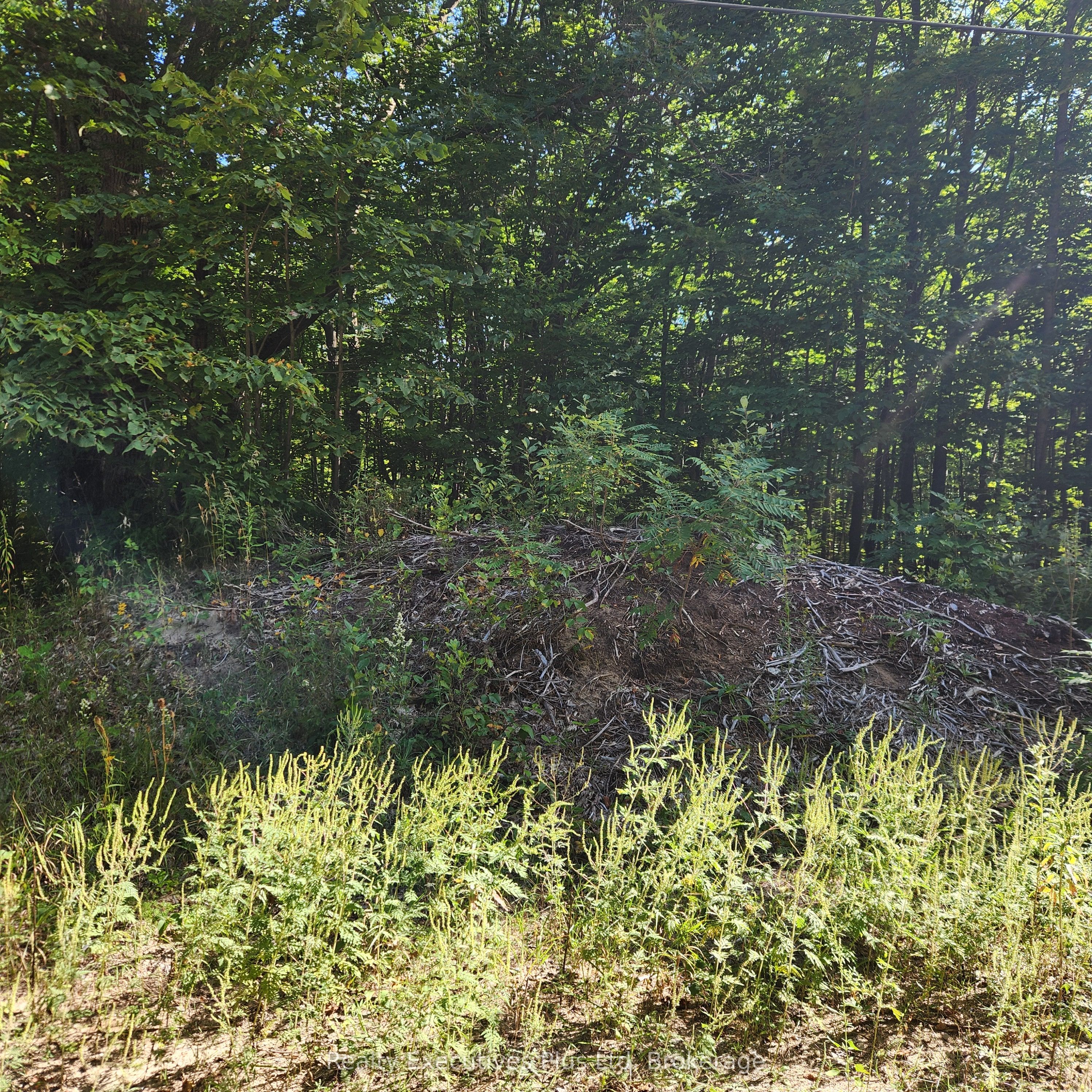 Lt 165 Zhingos Lane Property Photo 2