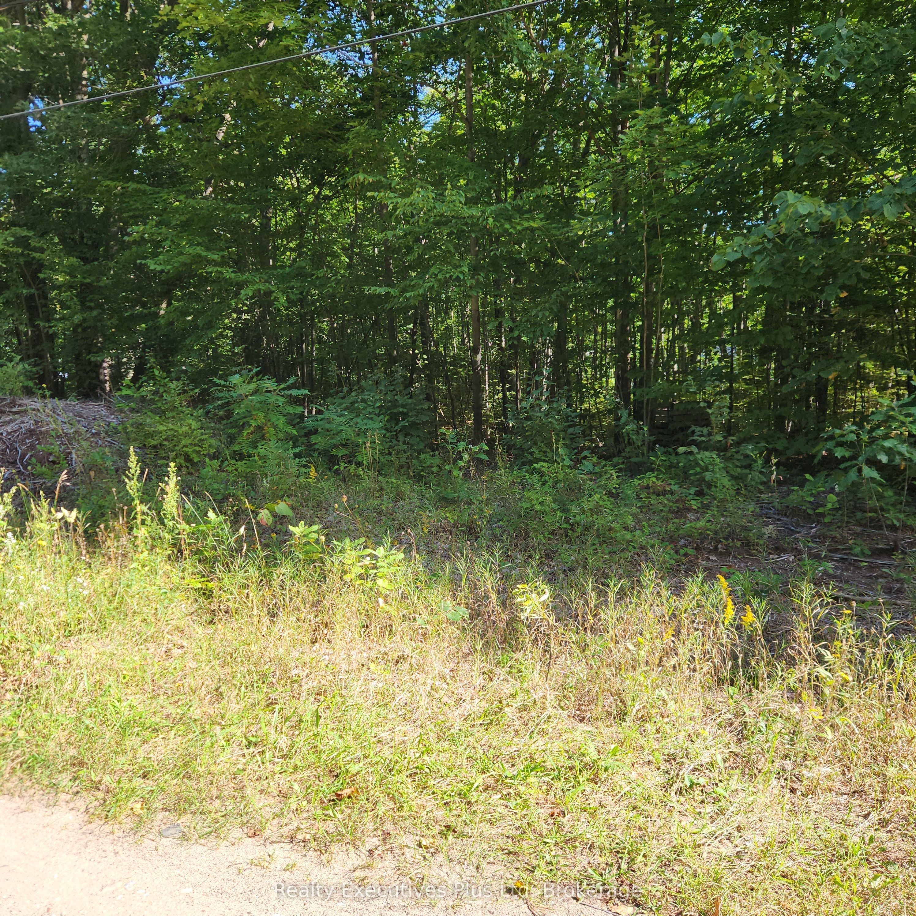 Lt 165 Zhingos Lane Property Photo 3