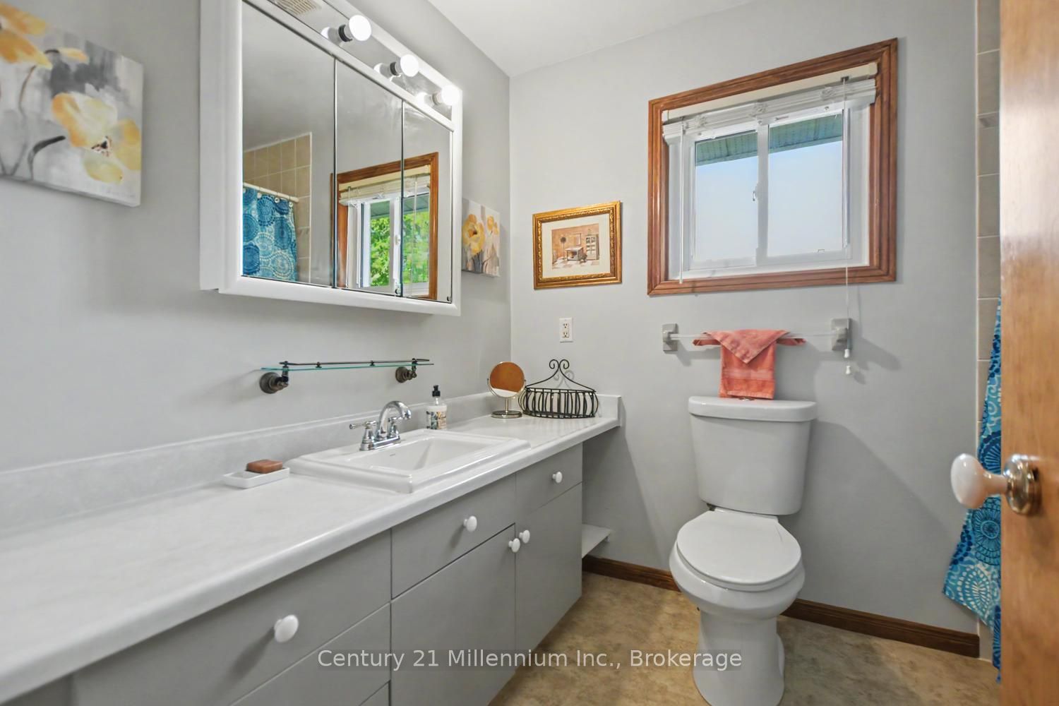 18 Dillon Drive Property Photo 34