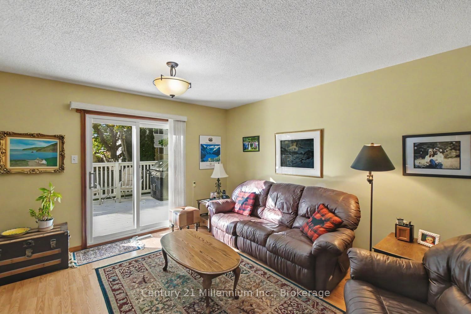 18 Dillon Drive Property Photo 38
