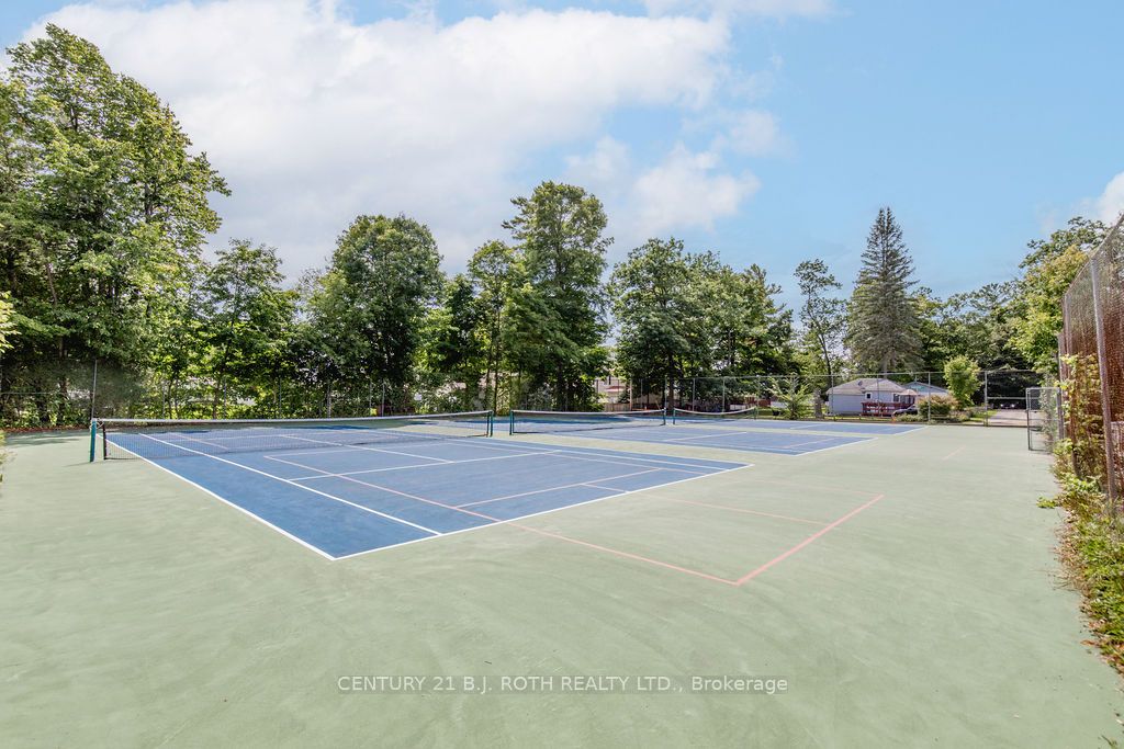 12 Domar Road Property Photo 26